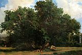 Oak Trees by Johannes Bosboom